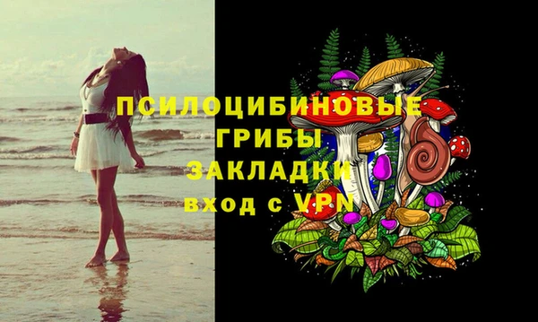 соль ск Нязепетровск