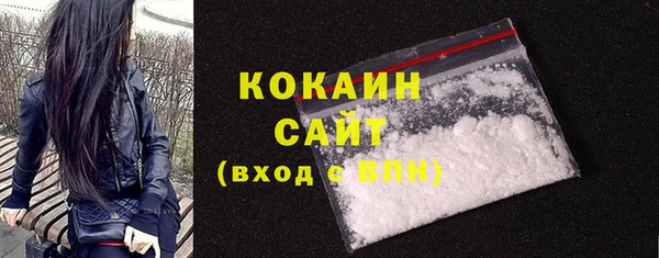 стаф Новодвинск
