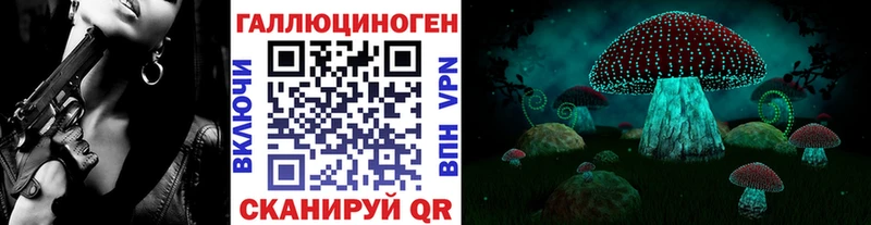 Псилоцибиновые грибы Psilocybe  ОМГ ОМГ   Межгорье 